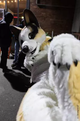 1R3A2618-lr19t.jpg of Furstrike/Furstrike 2022/