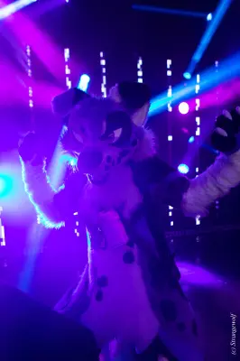 1R3A5367-lr19t.jpg of MFF/MFF2024/