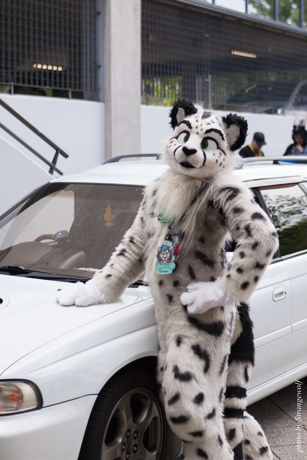 full image IMG_0071-lr16t.jpg