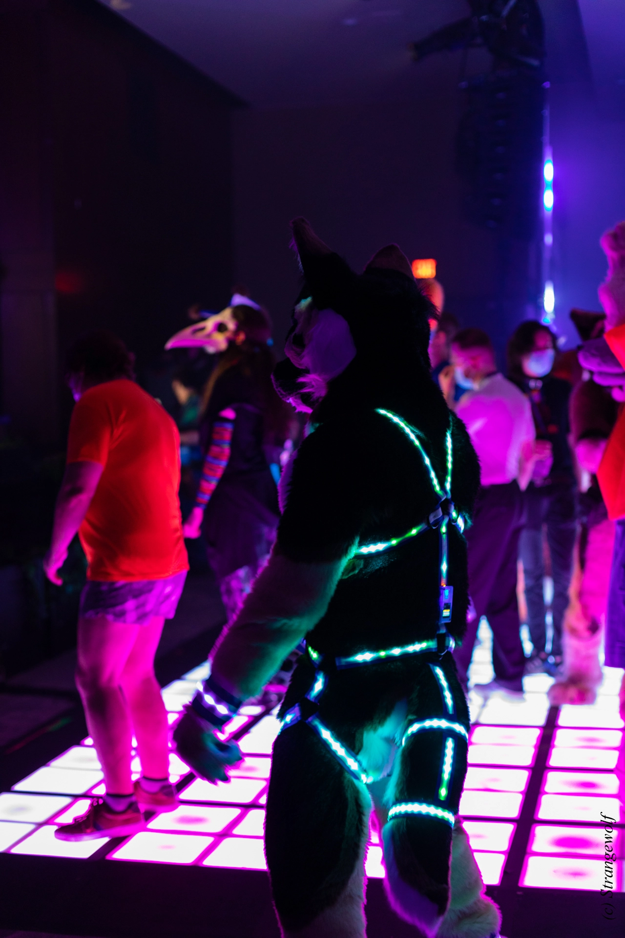 full image 1R3A0532-lr19t.jpg