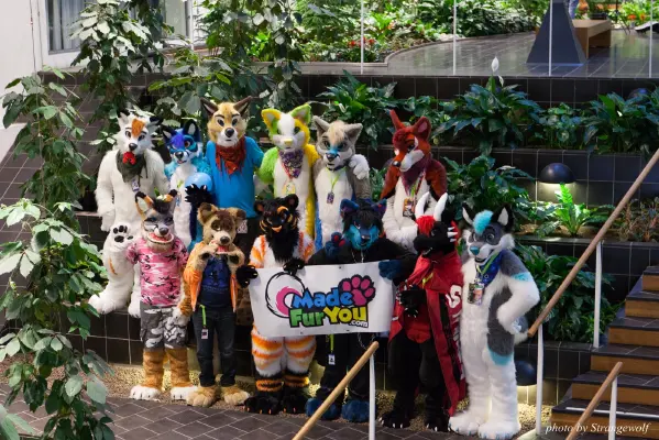 IMG_1709-lr16t.jpg of NFC/NFC2017/