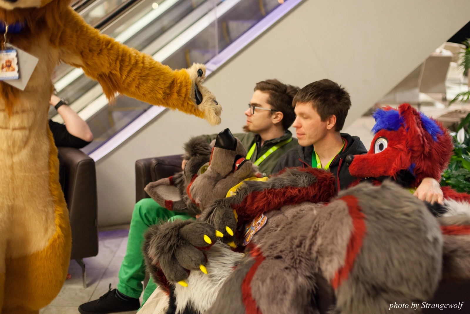 full image IMG_1587-lr16t.jpg