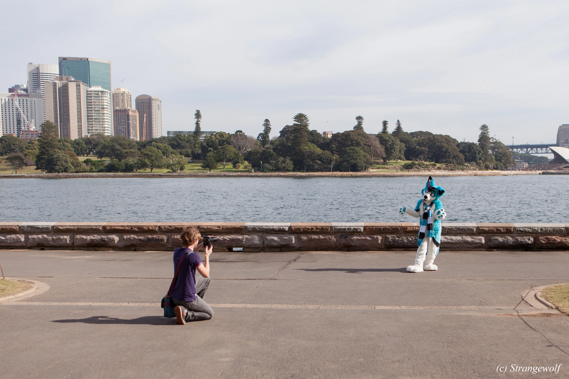 full image IMG_4378-lr19t.jpg