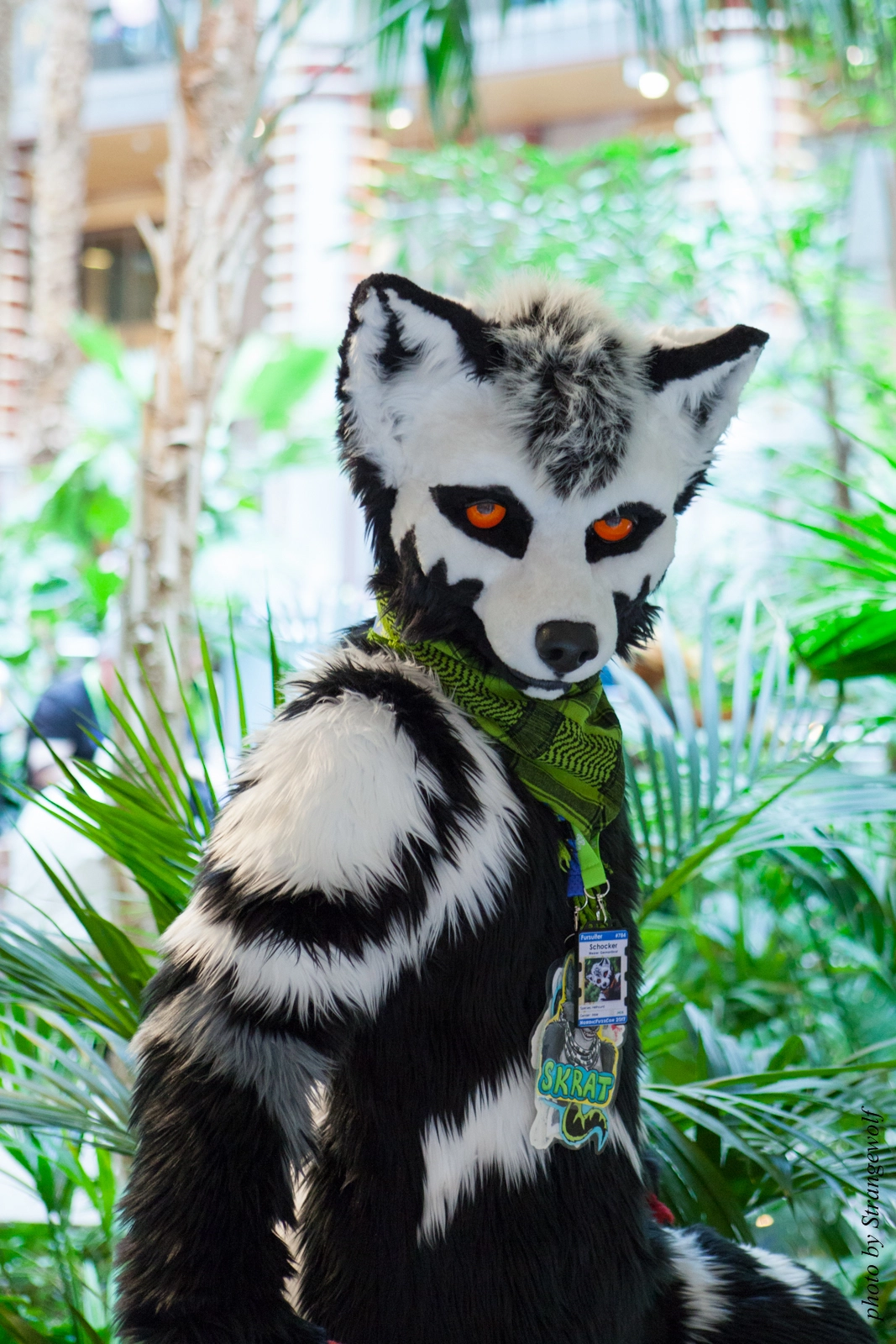 full image IMG_1652-lr16t.jpg