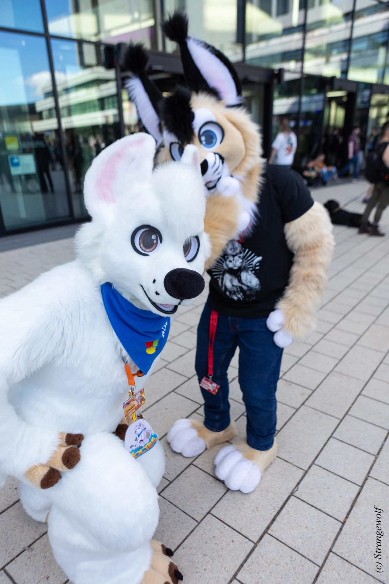 full image 1R3A9266-lr19t.jpg