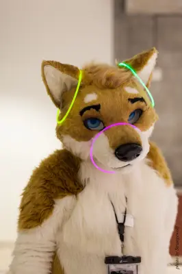 IMG_1369-lr16t.jpg of FC/FC2017/