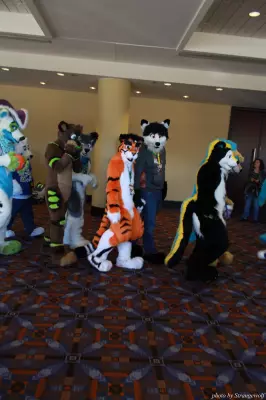 IMG_0509-lr.jpg of MFF/MFF2013/
