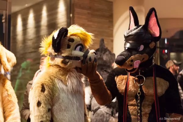 IMG_6896-lr19t.jpg of MFF/MFF2018/