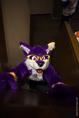 IMG_1008-lr16t.jpg of FC/FC2017/