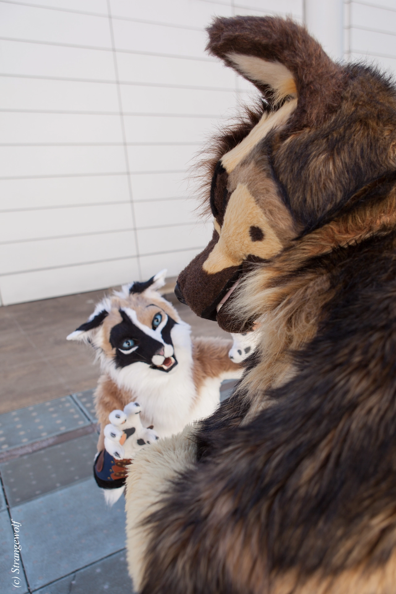 full image IMG_4203-lr19t.jpg