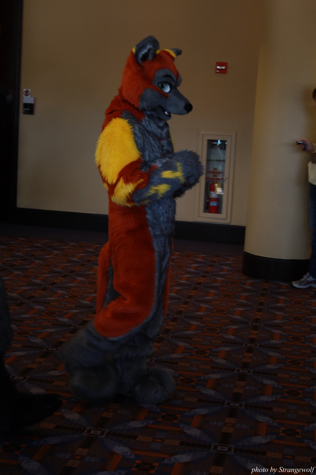 full image IMG_0546-lr.jpg