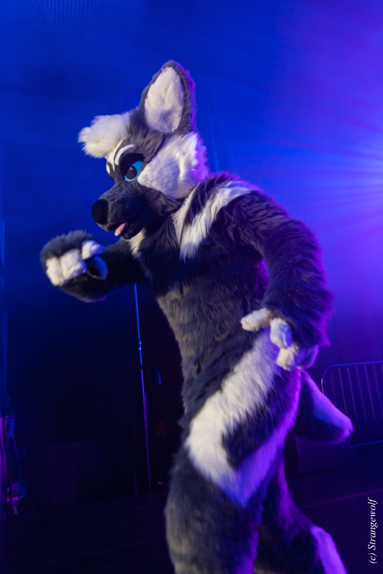 full image 1R3A4904-lr19t.jpg