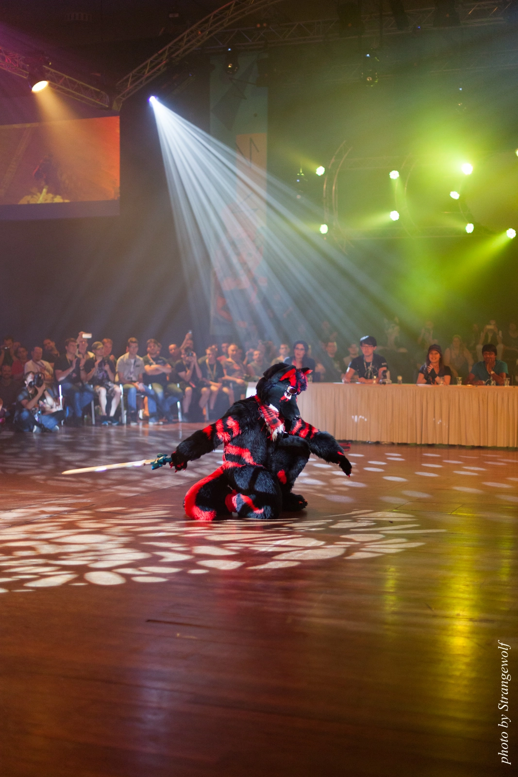 full image IMG_9186-lr16t.jpg