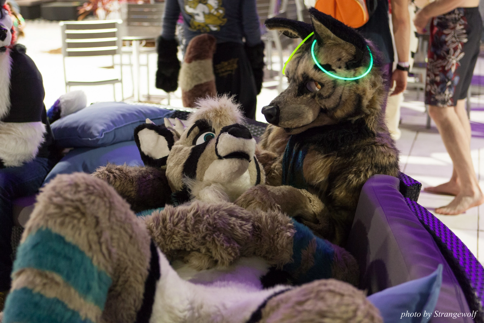 full image IMG_8679-lr16t.jpg