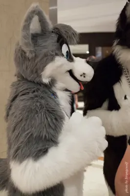 IMG_7326-lr16t.jpg of CFZ/CFZ2016/