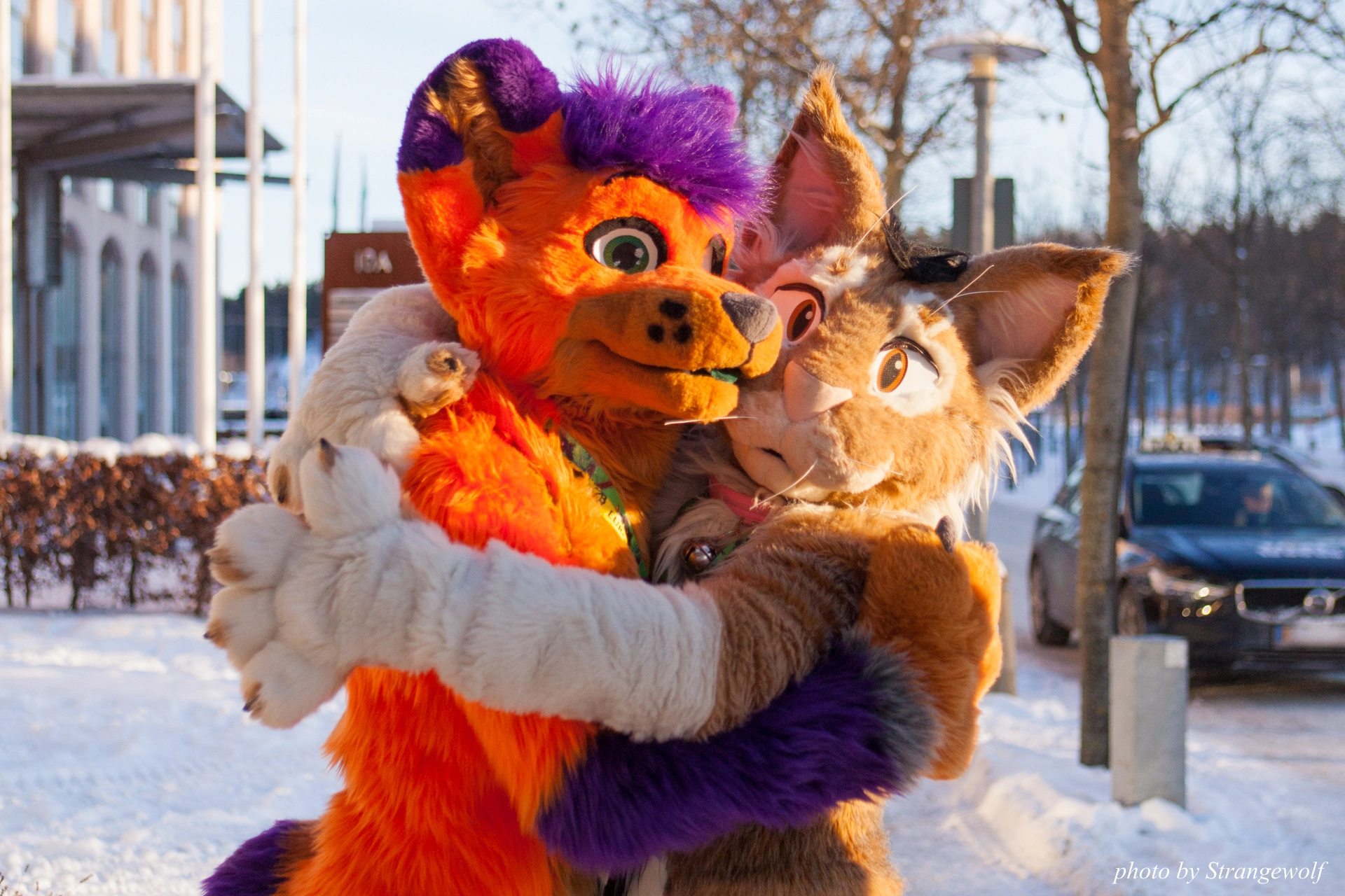 full image IMG_9151-lr19t.jpg