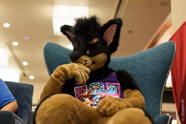 IMG_2568-lr19t.jpg of BLFC/2018/