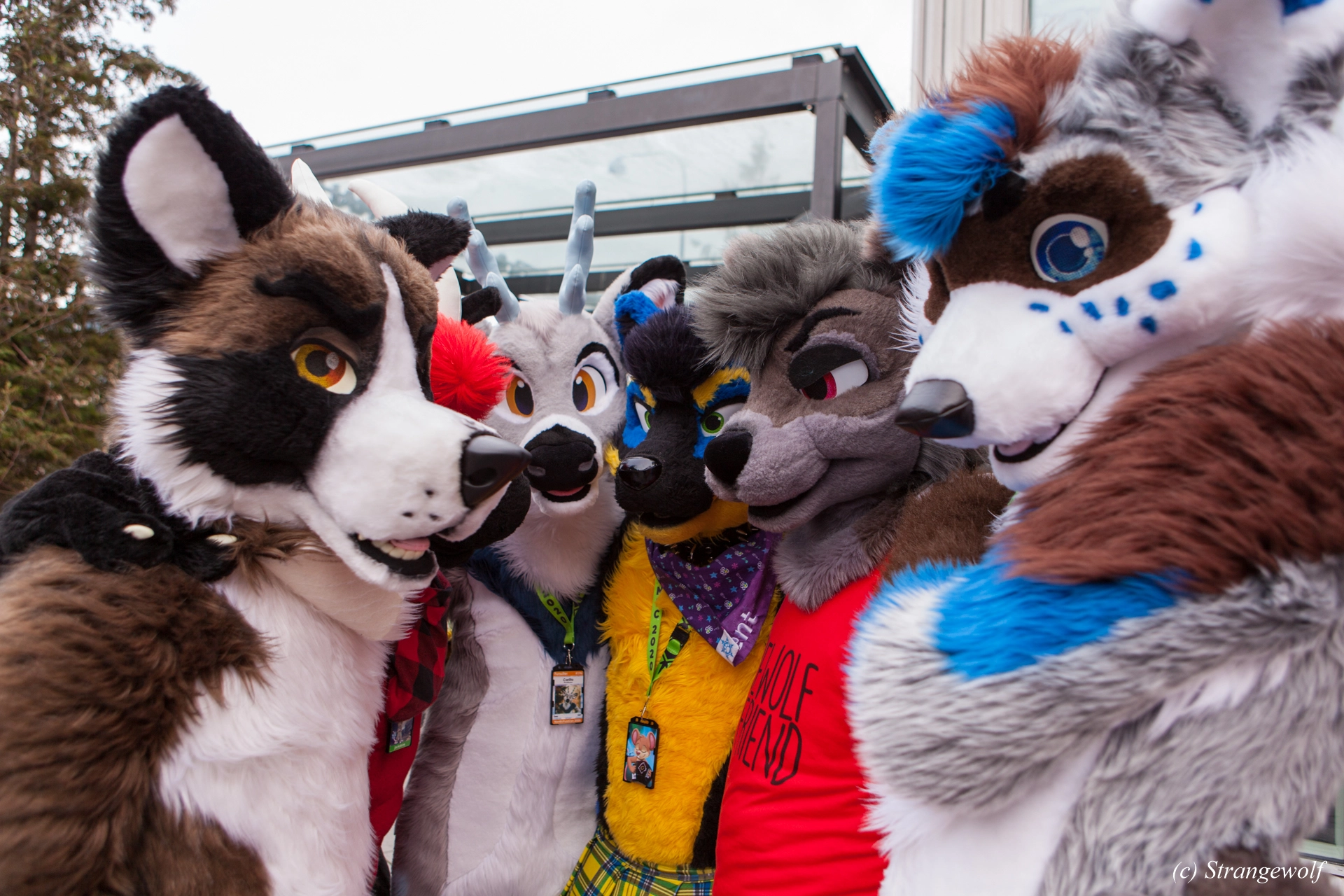 full image IMG_9013-lr19t.jpg