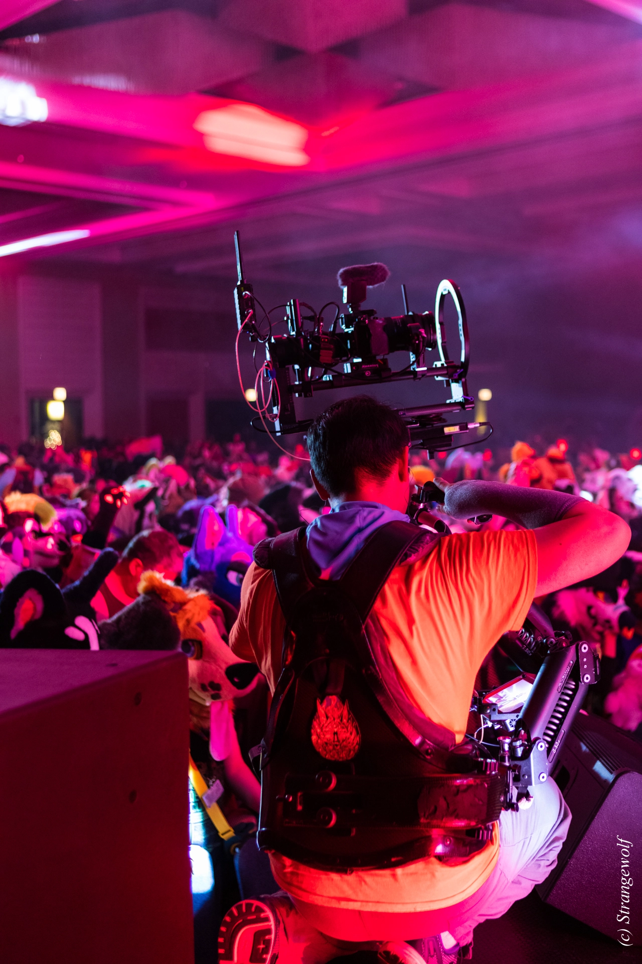 full image 1R3A6862-lr19t.jpg