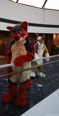 IMG_1041-lr.jpg of MFF/MFF2013/