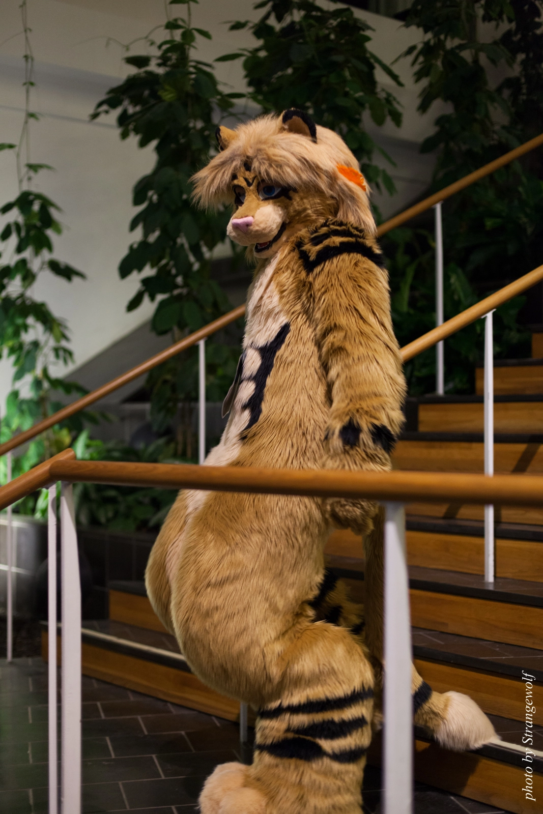 full image IMG_2520-lr16t.jpg