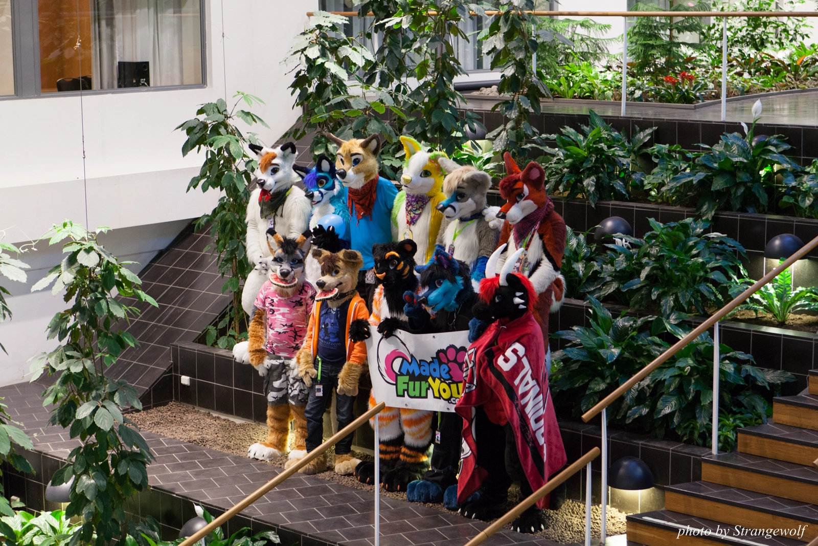 full image IMG_1700-lr16t.jpg