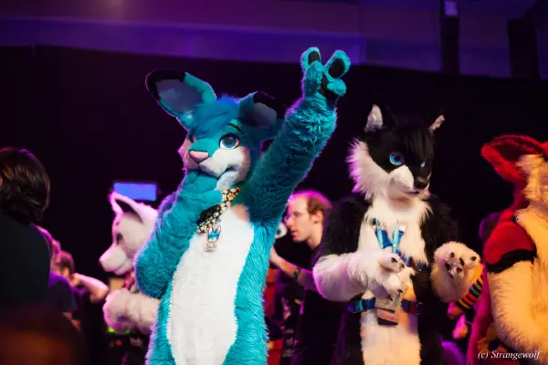 IMG_6660-lr19t.jpg of MFF/MFF2015/