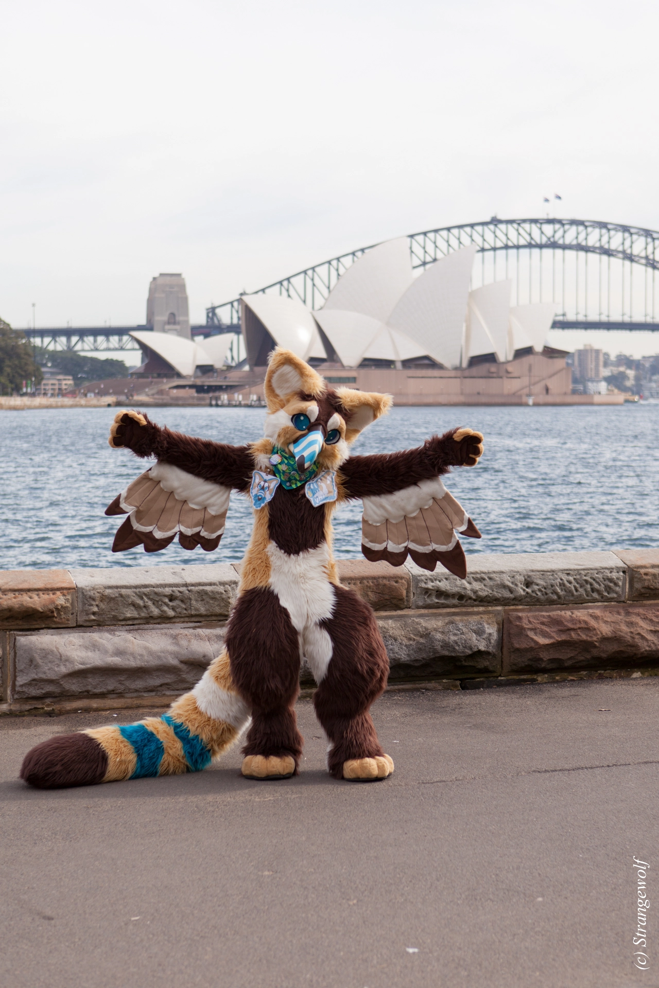 full image IMG_4284-lr19t.jpg