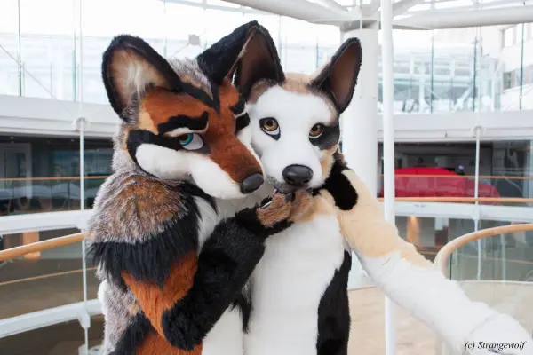 IMG_0516-lr19t.jpg of NFC/NFC2018/