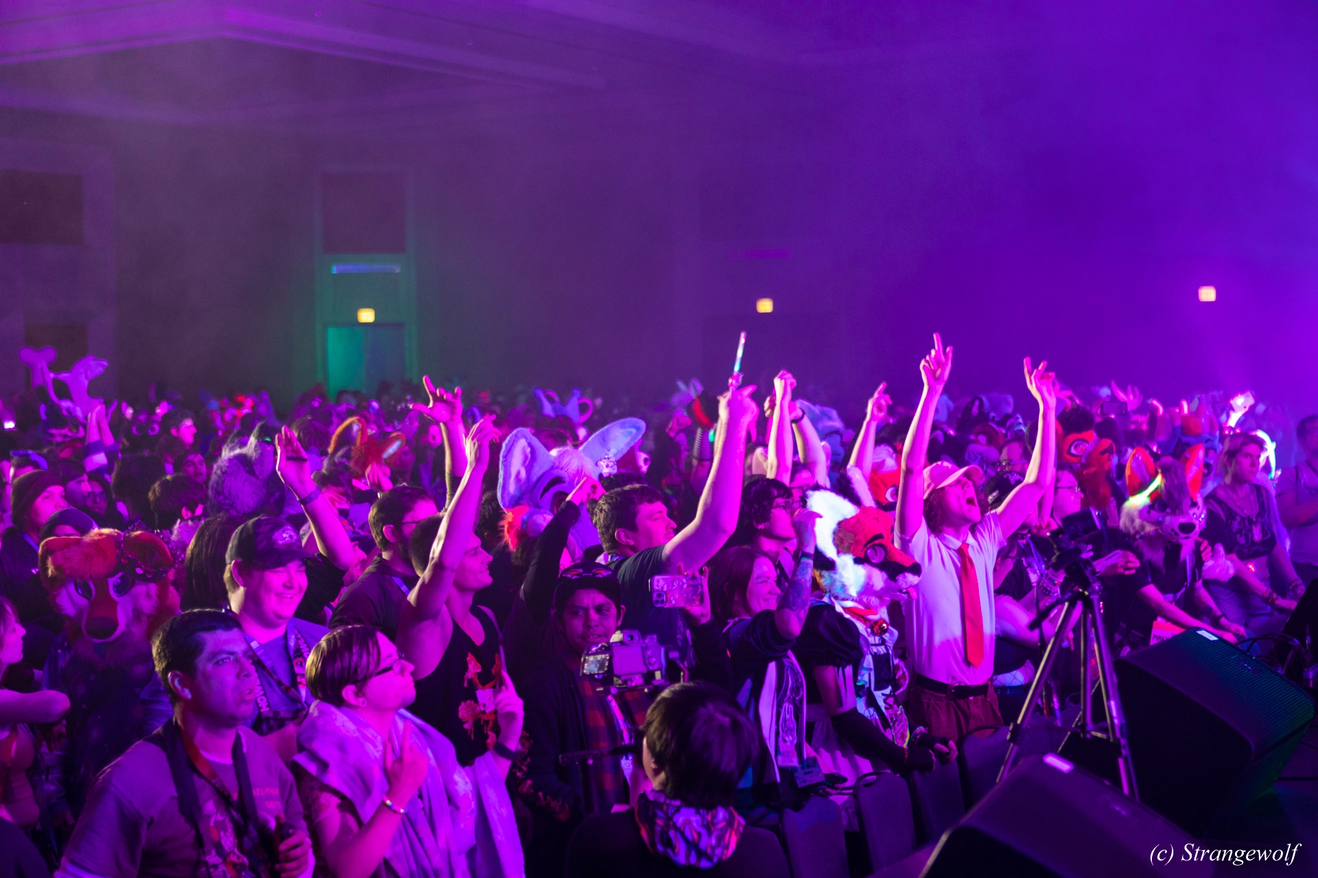 full image 1R3A5134-lr19t.jpg