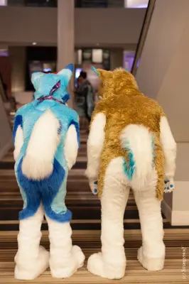 IMG_1879-lr19t.jpg of FWA/FWA2018/