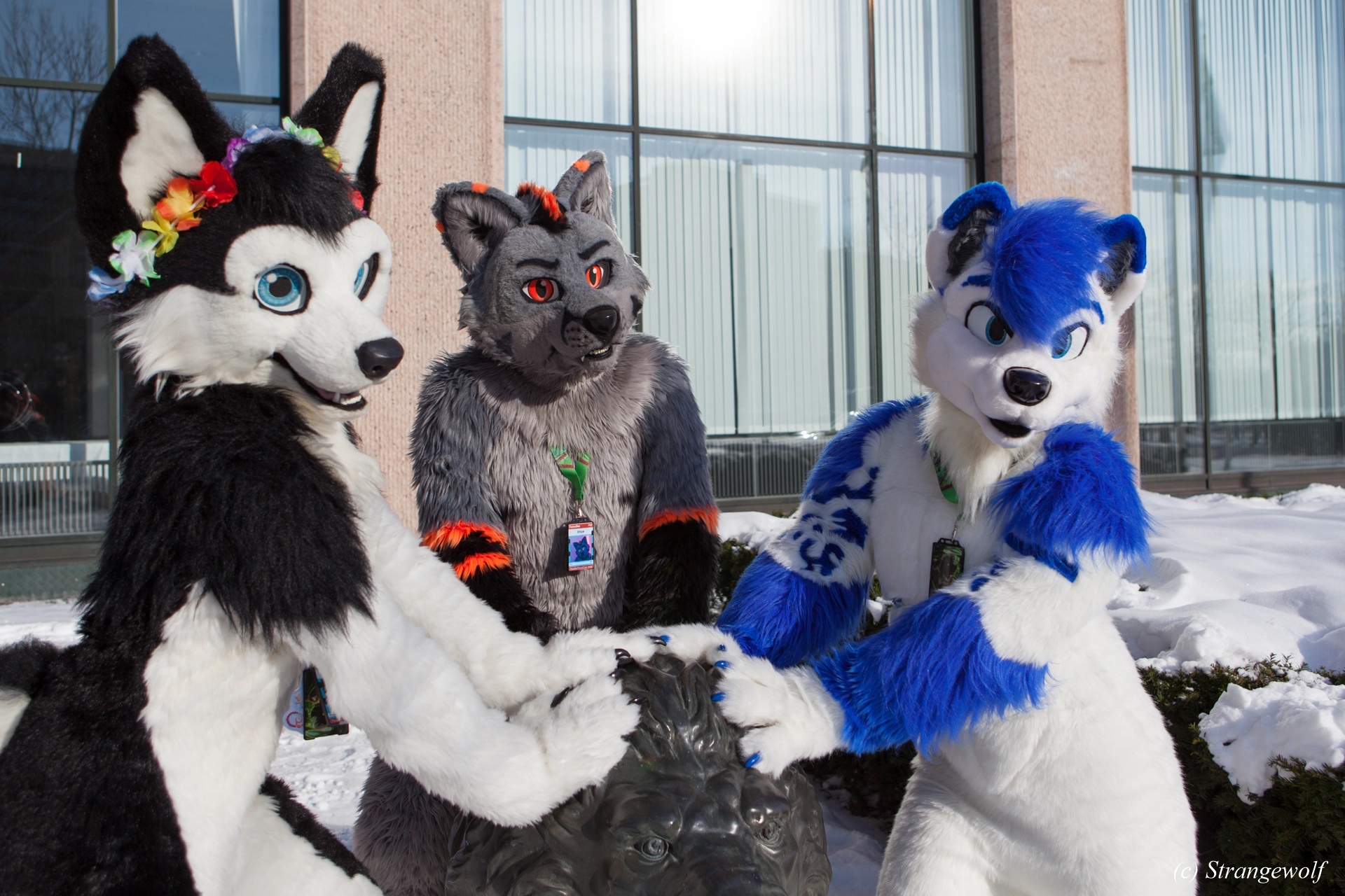 full image IMG_9671-lr19t.jpg