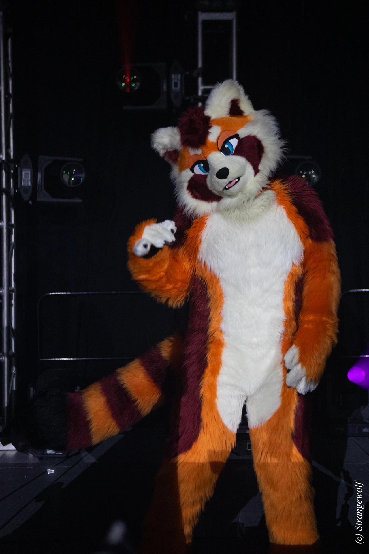 full image 1R3A0894-lr19t.jpg