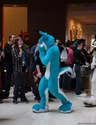 IMG_5985-lr16t.jpg of MFF/MFF2014/