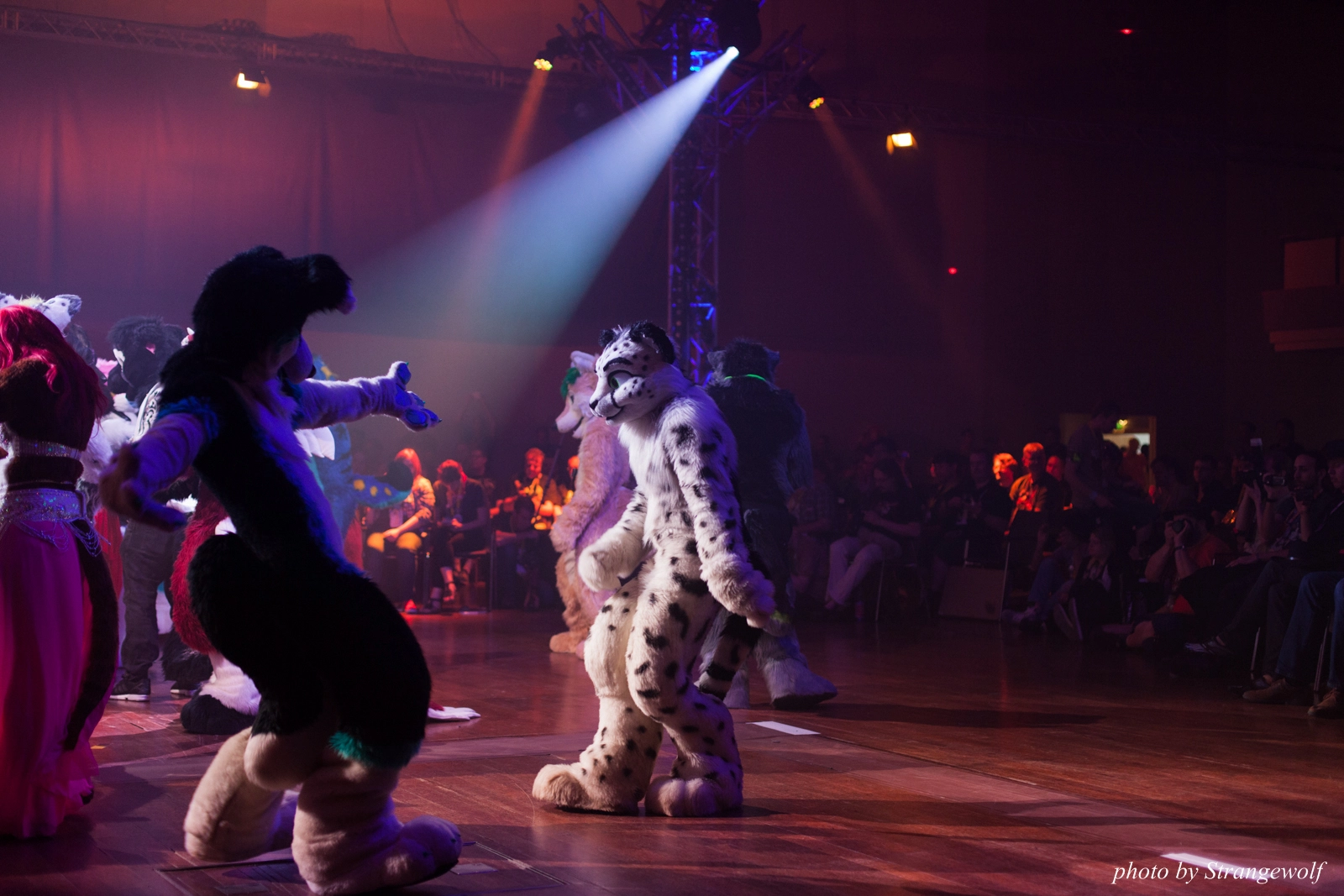 full image IMG_2982-lr16t.jpg
