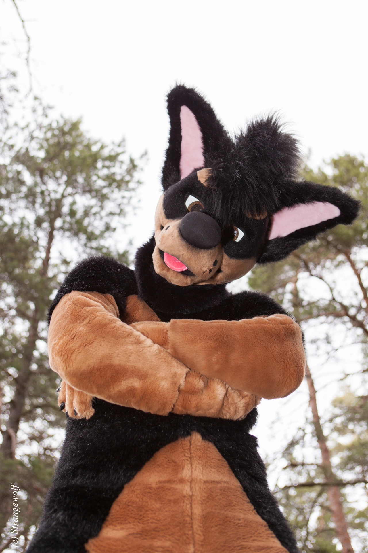 full image IMG_8590-lr19t.jpg