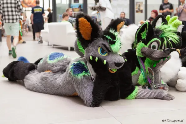 IMG_5351-lr19t.jpg of EF/EF24/