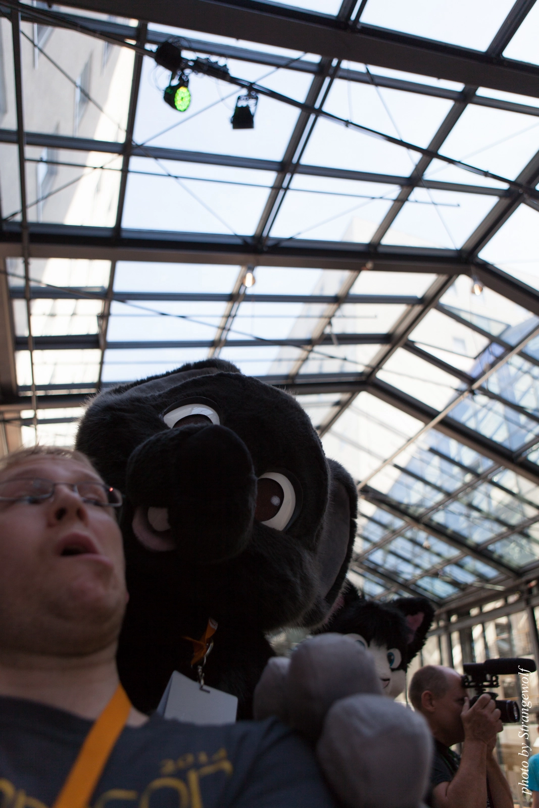 full image IMG_1830-lr16t.jpg