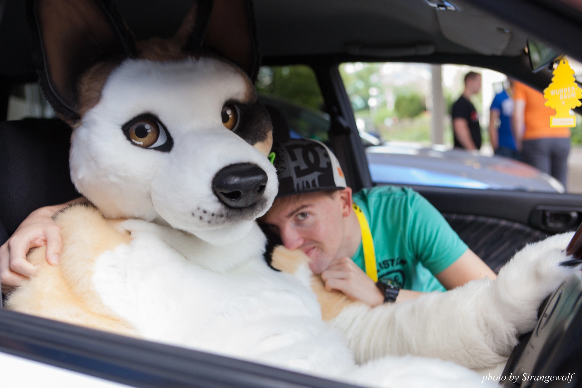 full image IMG_6853-lr19t.jpg