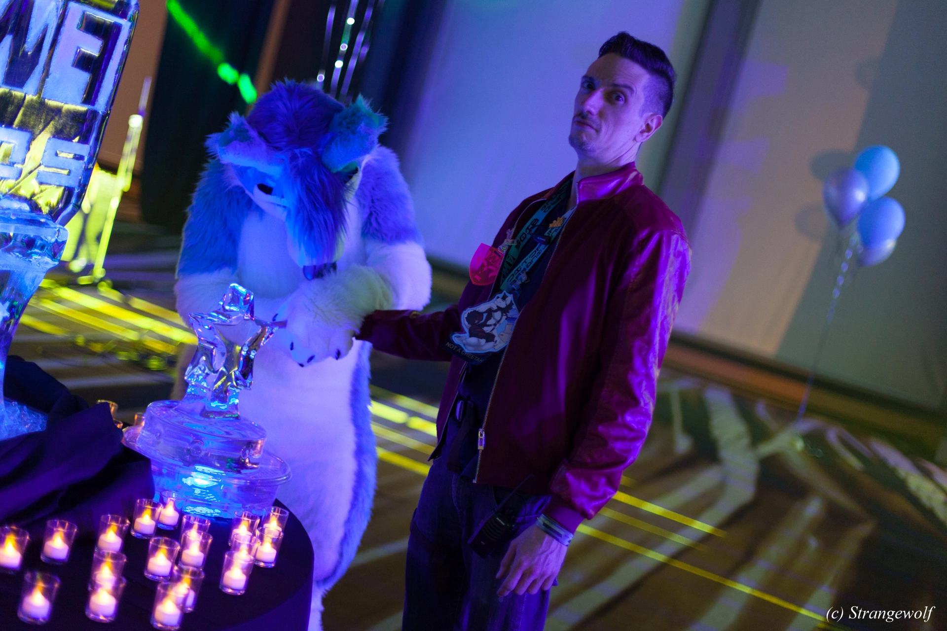 full image IMG_2082-lr19t.jpg