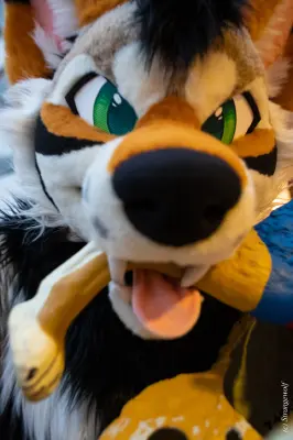 1R3A0242-lr19t.jpg of MFF/MFF2025/