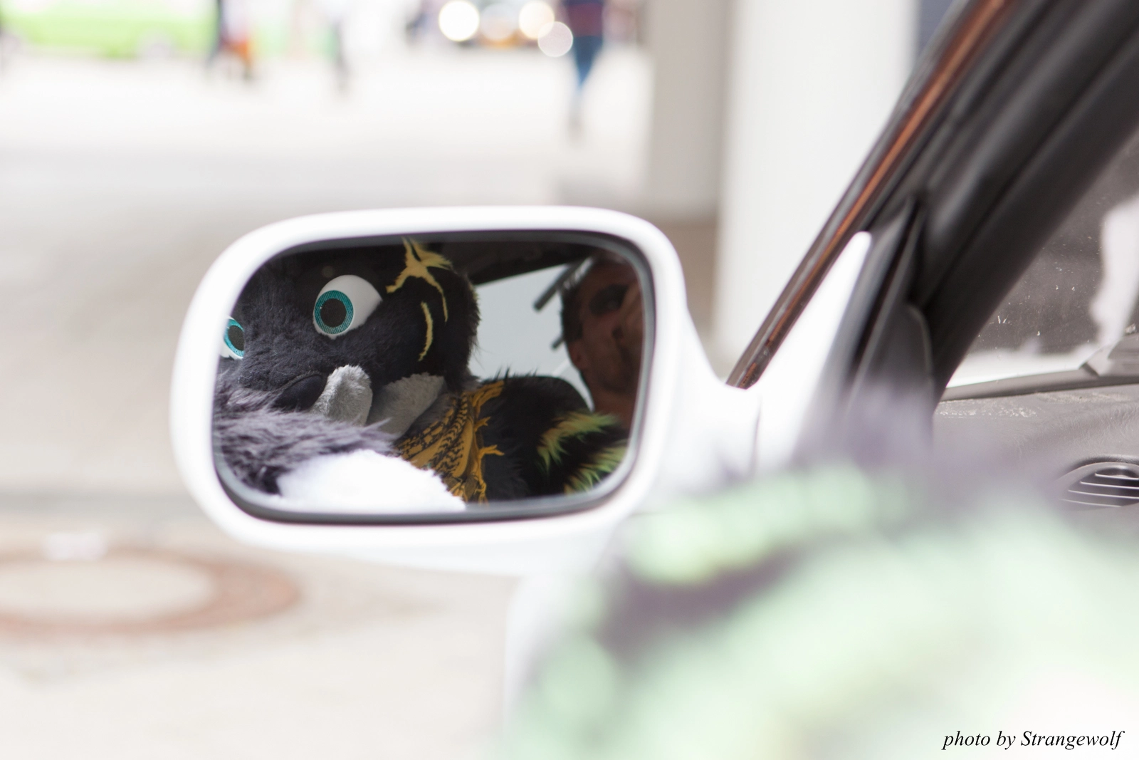 full image IMG_0178-lr16t.jpg