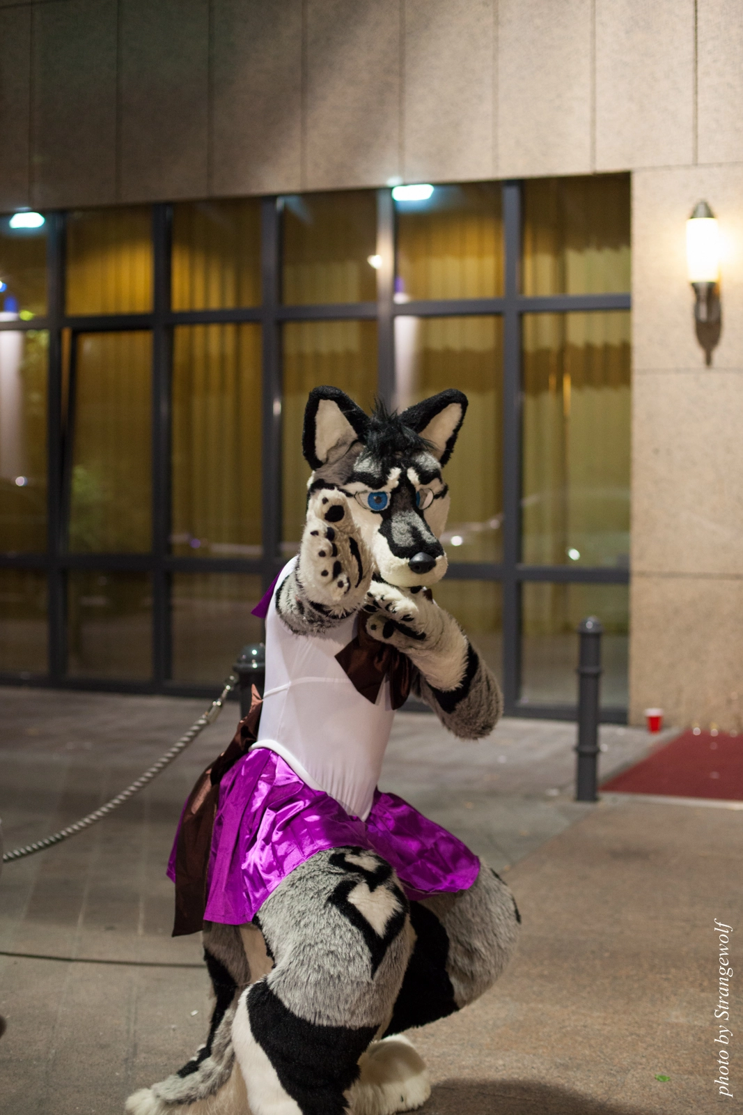 full image IMG_2006-lr16t.jpg