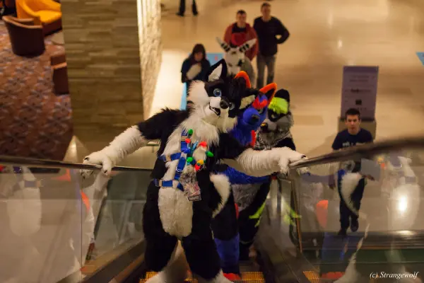 IMG_6605-lr19t.jpg of MFF/MFF2015/