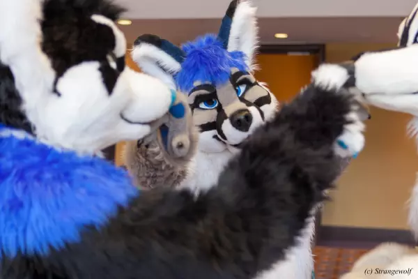 IMG_8395-lr19t.jpg of MFF/MFF2017/