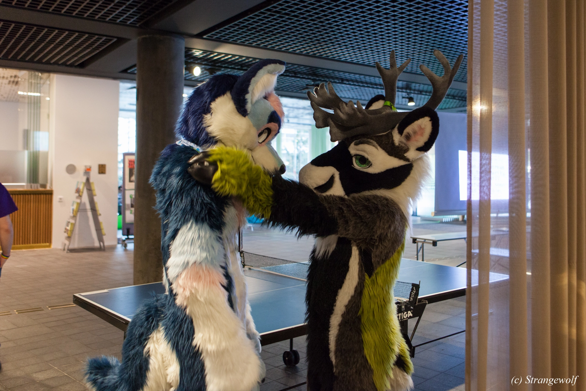 full image IMG_8539-lr19t.jpg