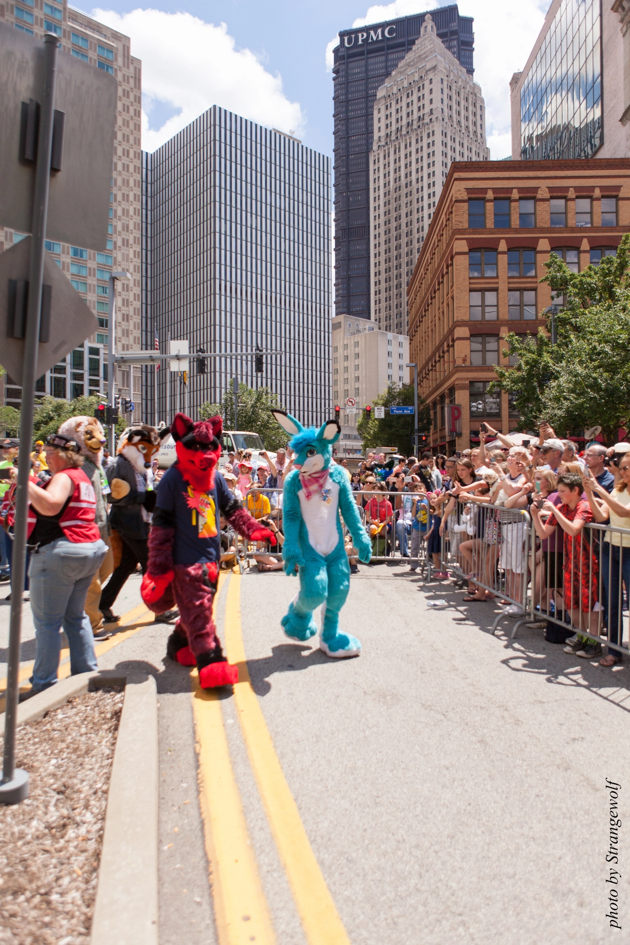 full image IMG_4406-lr19t.jpg