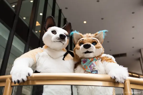 IMG_1734-lr19t.jpg of FWA/FWA2018/