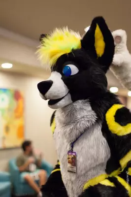 IMG_3309-lr19t.jpg of BLFC/2018/