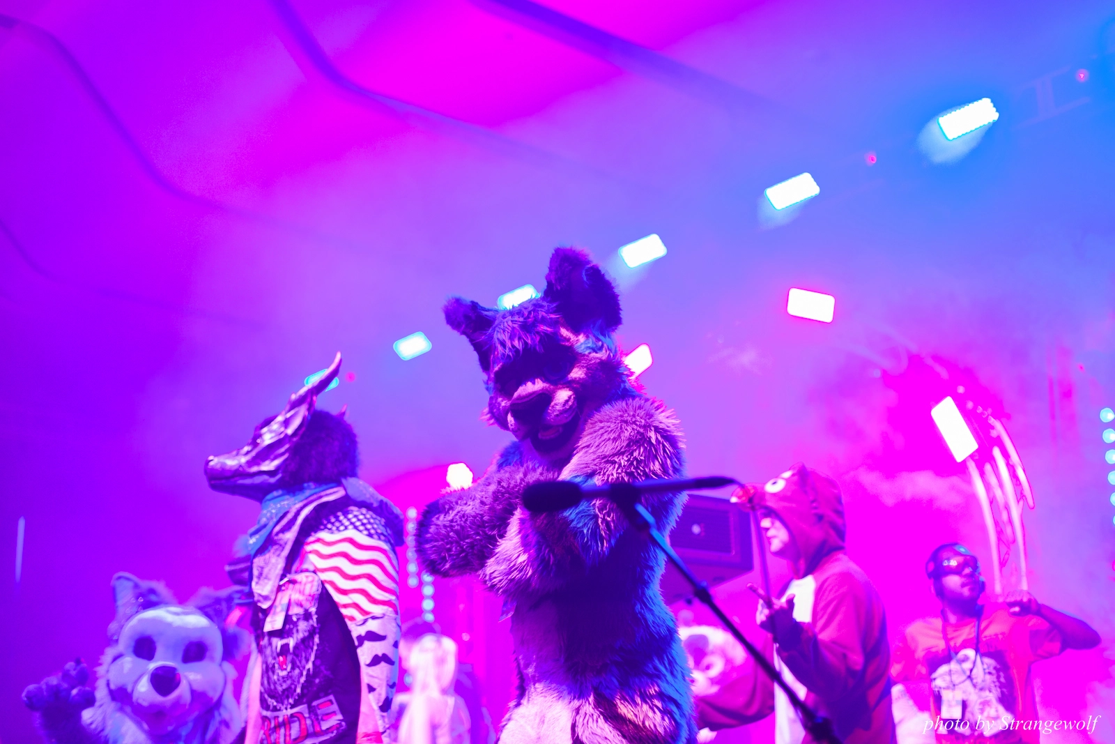 full image IMG_1233-lr16t.jpg